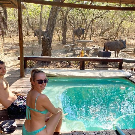 Hakuna Matata Marloth Park Exteriör bild